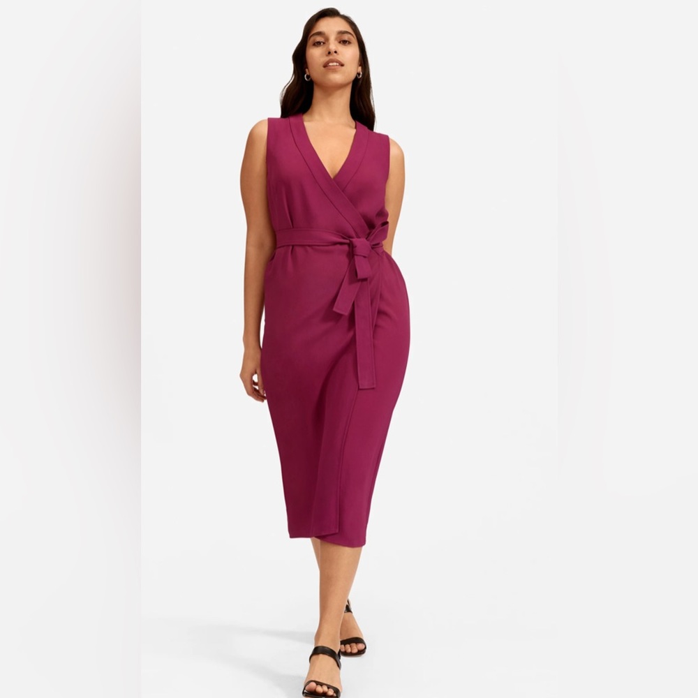 Everlane Japanese GoWeave wrap dress